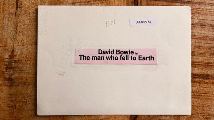 the man who fell to earth - David Bowie, Collections, Cinéma & Télévision