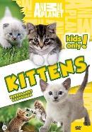 Animal planet - Kittens op DVD, Verzenden, Nieuw in verpakking