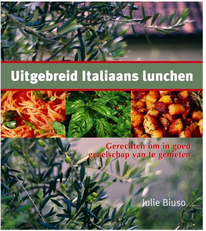 Uitgebreid Italiaans lunchen 9789045302256 J. Biuso, Boeken, Kookboeken, Zo goed als nieuw, Verzenden