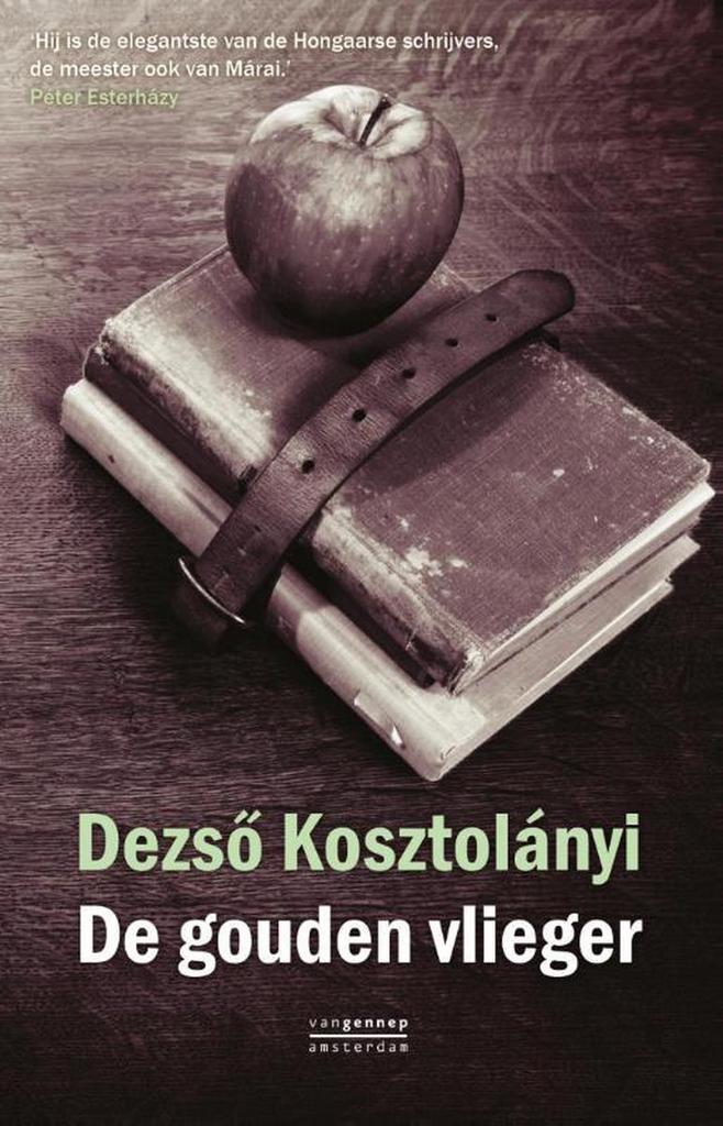 De gouden vlieger 9789461641601 Dezso Kosztolanyi, Boeken, Romans, Zo goed als nieuw, Verzenden