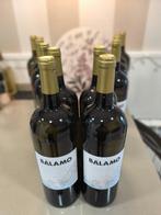 2024 Bodegas La Vereda Tierra y Vinos, Balamo - Rias Baixas, Nieuw