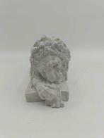 Sculpture, Coppia di leoni il dormiente e il vegliante -, Antiek en Kunst