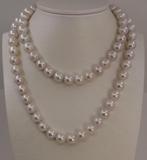 Sans Prix de Réserve - Collier - 14 carats Or blanc - Perles, Nieuw