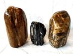 Versteend hout - Gefossiliseerd hout, Verzamelen, Mineralen en Fossielen
