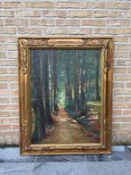 Leon Corthals (1877-1935) - Bosgezicht