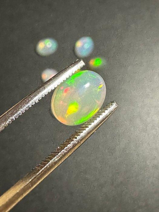 Opaal Prachtige Ethiopische Fire Opal-partij. Een echte, Collections, Minéraux & Fossiles