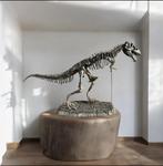 Dinosaure Squelette - Dinosauro - 189 cm - 40 cm - 95 cm