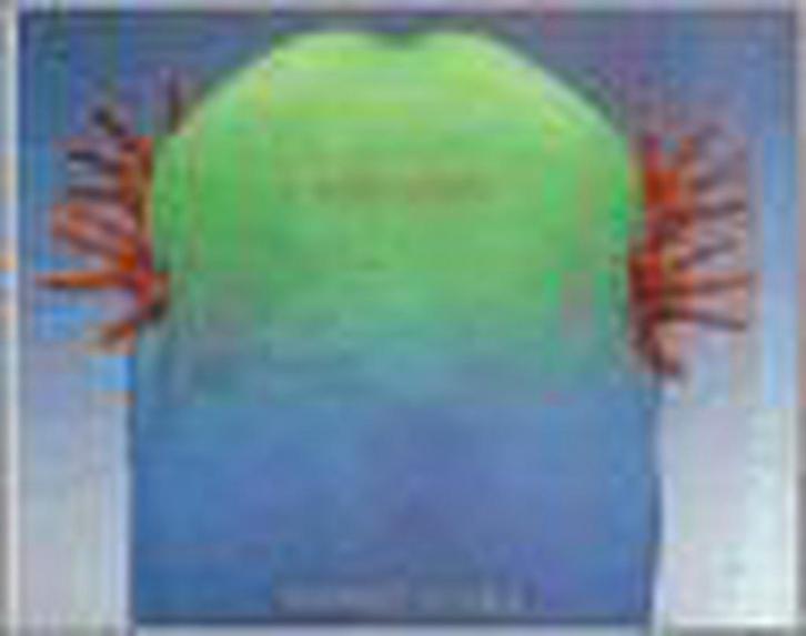 Howard Schatz 9780847822508 Howard Schatz, Boeken, Taal | Engels, Zo goed als nieuw, Verzenden