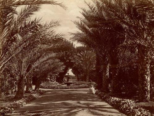 A. Leroux  (XIX) - Jardin Marengo, Alger, Antiek en Kunst, Kunst | Tekeningen en Fotografie