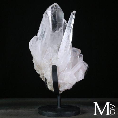 Cristaux naturels de quartz lémurien Quartz lézardien –, Verzamelen, Dierenverzamelingen