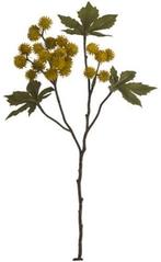 Ricinus castor oil spray dry colour mosterd okergeel zijden, Nieuw