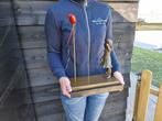 Large, Balloon Girl - Beeld, Bronze - 37 cm - Brons, Marmer