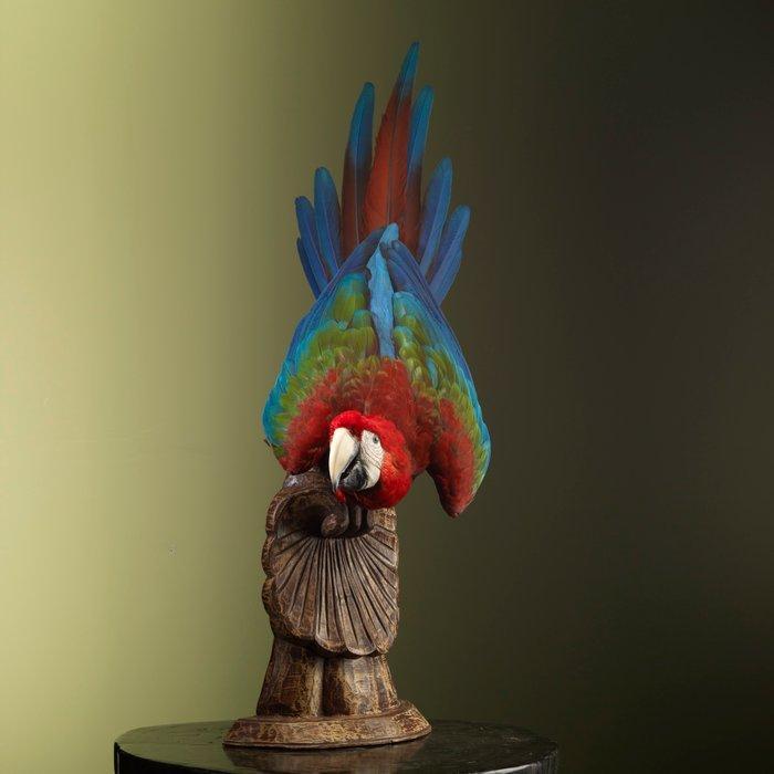 Ara Support de corps entier pour taxidermie - Ara, Verzamelen, Dierenverzamelingen