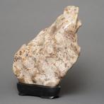 Hout, Steen, Fossiel - Suiseki  (steen van de geleerde) -, Antiek en Kunst