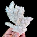 alien uitstekende calcietcluster - Hoogte: 14 cm -