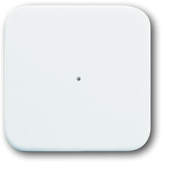 ABB Busch-Jaeger 6731-214-500 WaveLine Sensor 1V R-Alpin -, Doe-het-zelf en Bouw, Alarmsystemen, Verzenden