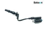 Bobine Honda CMX 500 Rebel 2020-2023 (CMX500 PC56), Gebruikt