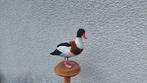 Eend Taxidermie volledige montage - Shelduck - 30 cm - 30 cm