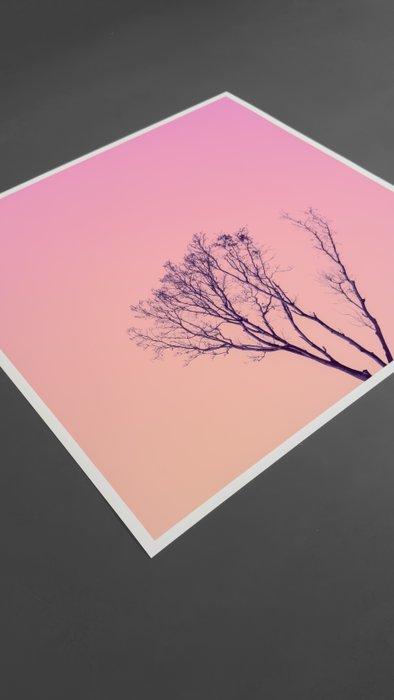 Téber - Roots · No Reserve, Antiquités & Art, Art | Objets design