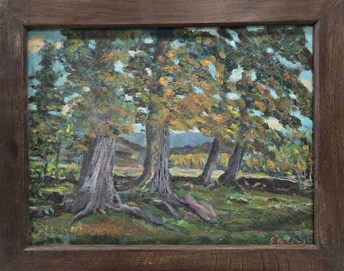 Sebastià Pagès (1931) - NO RESERVE - Susurros del bosque, Antiek en Kunst, Kunst | Schilderijen | Klassiek