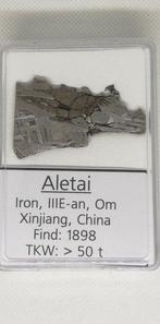 Aletai. (zonder reserveprijs) IJzer meteoriet - 36.05 g