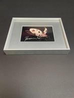 Panamarenko - Meikever 1973 - Jaren 1980