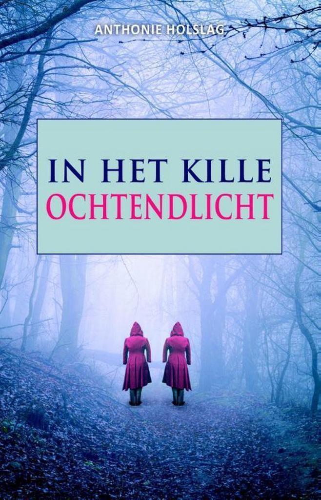 In het kille ochtendlicht 9789463080644 Anthonie Holslag, Boeken, Sprookjes en Fabels, Gelezen, Verzenden