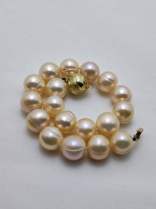 Zonder Minimumprijs - Kralenarmband - 14 karaat Geel goud, Handtassen en Accessoires, Antieke sieraden