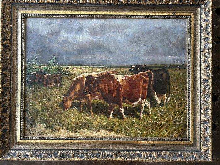 JHL de Haas (1832-1908) - Koeien in de weide, Antiek en Kunst, Kunst | Schilderijen | Klassiek