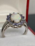 Zonder Minimumprijs - Ring Zilver, Nieuw