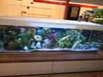 Aquarium met tropische vissen, Ophalen, Nieuw
