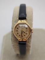 PAX - oro 18k. cuartz - Femme - 1970-1979, Handtassen en Accessoires, Nieuw