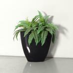 Kunstplant met zwarte pot, 48cm (h), Articles professionnels, Ophalen of Verzenden