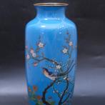 Vase - cloisonné - Japon - cloisonné oiseau et fleurs (Sans, Antiek en Kunst