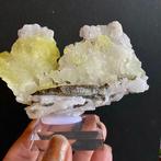 Verzameling mineralen op sokkels. Kristalcluster - Hoogte:, Verzamelen, Mineralen en Fossielen