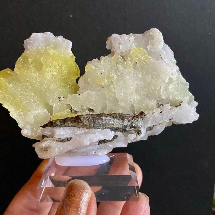 Verzameling mineralen op sokkels. Kristalcluster - Hoogte:, Verzamelen, Mineralen en Fossielen