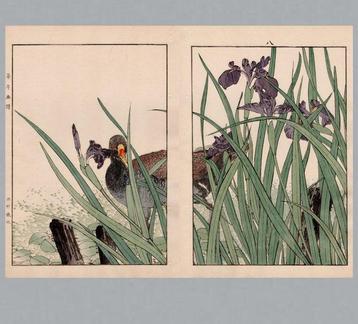 Waterhen () and Iris () - From the album Keinen