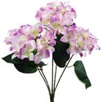 Hortensia groot hydrangea bush new ivory-lila 49 cm. groot!, Nieuw