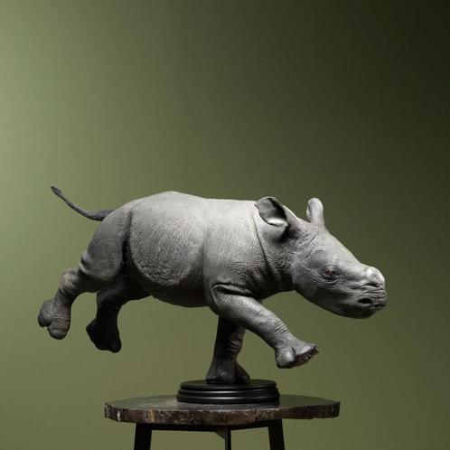 Neushoorn Replica Taxidermie Opgezette Dieren By Max, Verzamelen, Dierenverzamelingen, Opgezet dier, Nieuw, Wild dier, Ophalen of Verzenden