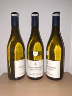 2023 Domaine Fontaine-Gagnard Clos Saint Jean blanc -
