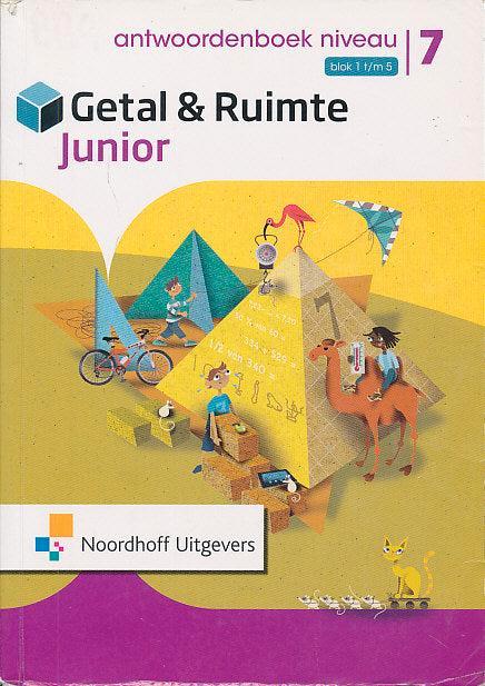 Getal en Ruimte Junior Antwoorden Leerwerkboek NIVEAU blok 1, Livres, Livres scolaires, Envoi