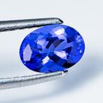 Zonder minimumprijs Blauw Tanzaniet - 1.23 ct -, Handtassen en Accessoires, Edelstenen, Nieuw
