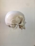 Sylvain BARBEROT - Skull#1