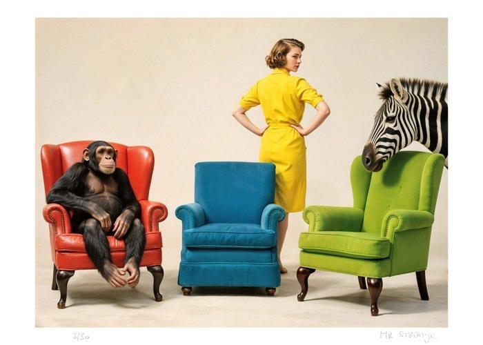 Mr Strange (XX-XXI) - Colorful Life (III), Antiek en Kunst, Kunst | Designobjecten