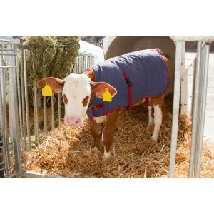 Couverture pour veau thermoplus 70cm, Articles professionnels, Agriculture | Aliments pour bétail
