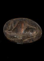 West-Aziatisch Brown Hardstone Stempelzegel (Zonder