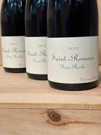2022 Domaine de Chassorney - Saint-Romain Sous Roche -, Verzamelen, Nieuw