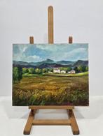 Carles Compte (1944) - Paisaje sereno, Antiek en Kunst