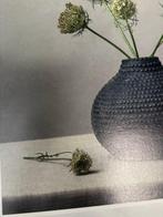 Tessa Posthuma de Boer - Queen Annes Lace #2