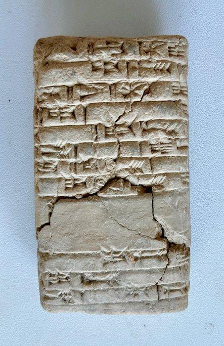 Mesopotamisch Een spijkerschrifttablet, Verzamelen, Mineralen en Fossielen